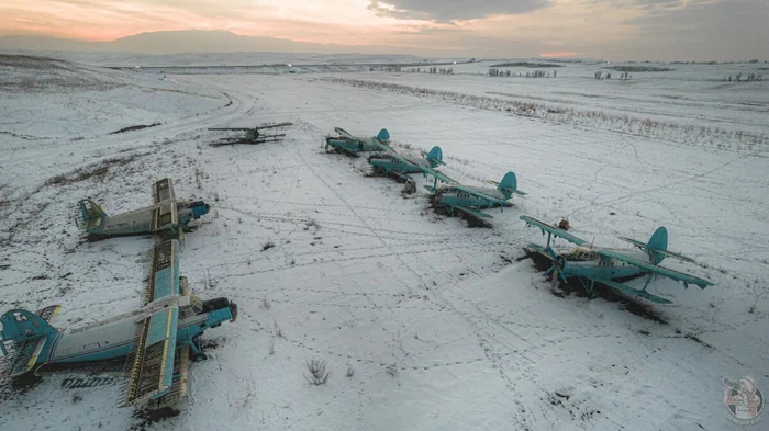 В чистом поле обнаружено «кладбище самолётов». Как они сюда попали?