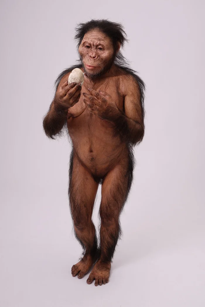 Женщина, погибшая 3,2 миллиона лет назад, могла быть прародительницей человечества