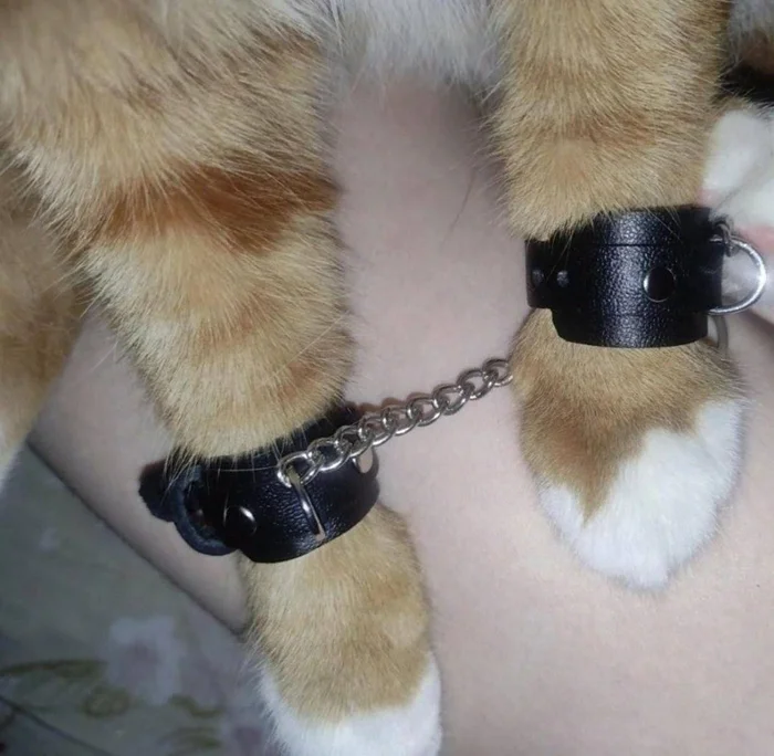 Милое наказание