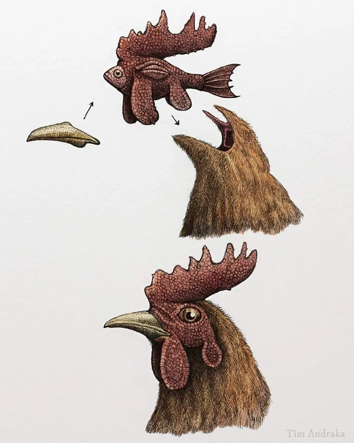 Биосюрреализм в стиле Tim Andraka: немного вдохновения