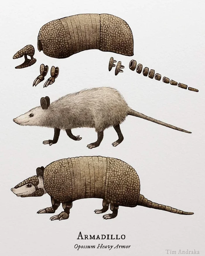 Биосюрреализм в стиле Tim Andraka: немного вдохновения