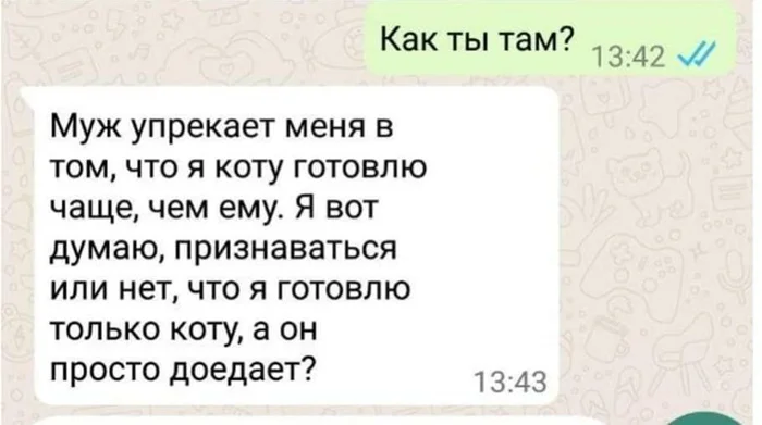 Микро юмор про котиков