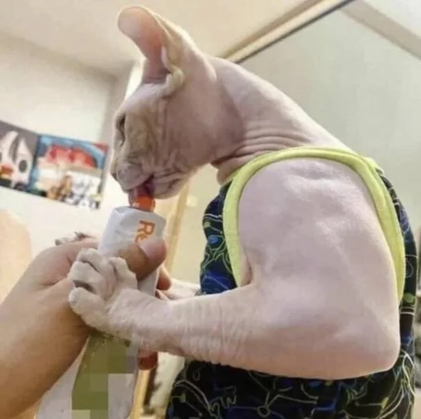 Намешалось: Красивые и интересные картинки