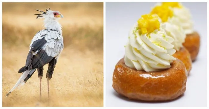 5 научных фактов, которые вас удивят