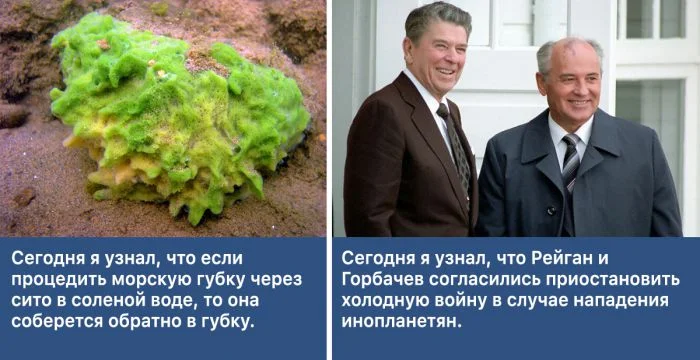 Факты, которых не расскажут на уроках: 30 удивительных примеров