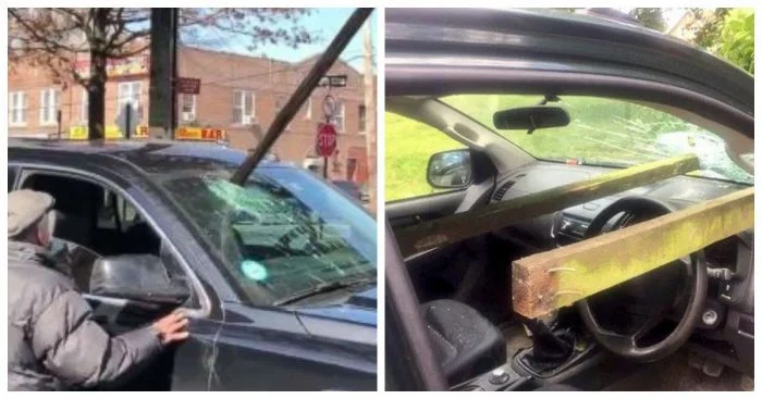 12 опасных дорожных ситуаций со счастливым исходом