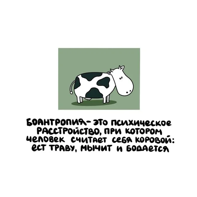 Удивительные факты, которые стоит знать каждому