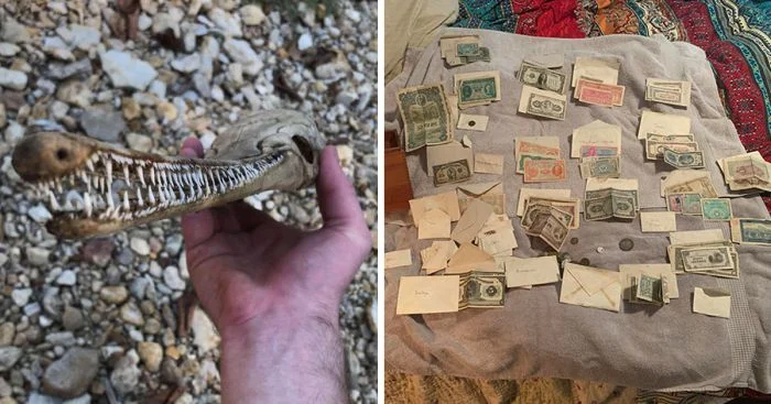 Интересные находки: 35 случаев из жизни простых людей