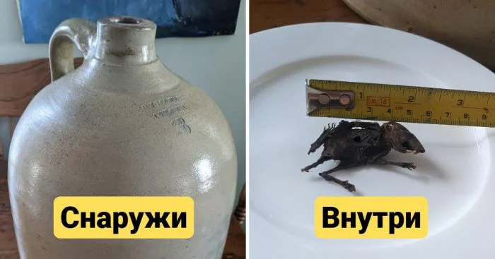 Скрытые стороны: 15 неожиданных видов привычных объектов изнутри