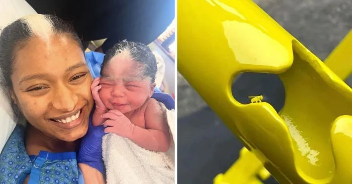 15 уникальных снимков, запечатлевших невероятные моменты и редкие явления