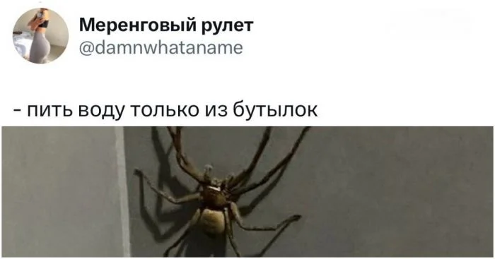 Без этих привычек и правил безопасности в Азии не выжить приезжим