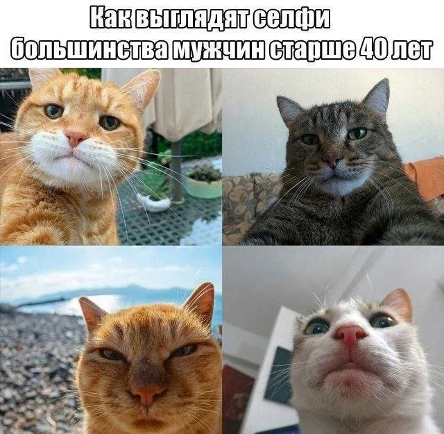 Новые скрины из соцсетей