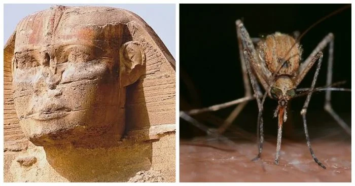 10 самых распространенных вопросов, которые мы задаем себе