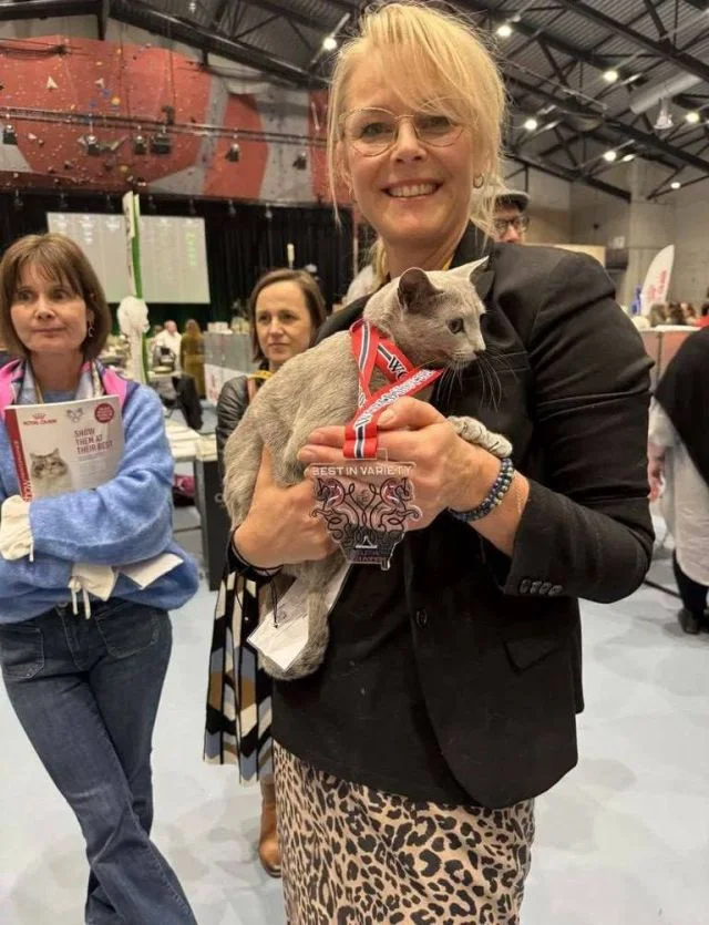 Самый красивый кот мира — пушистый красавец из России