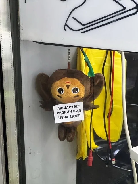 ФотоВсячина