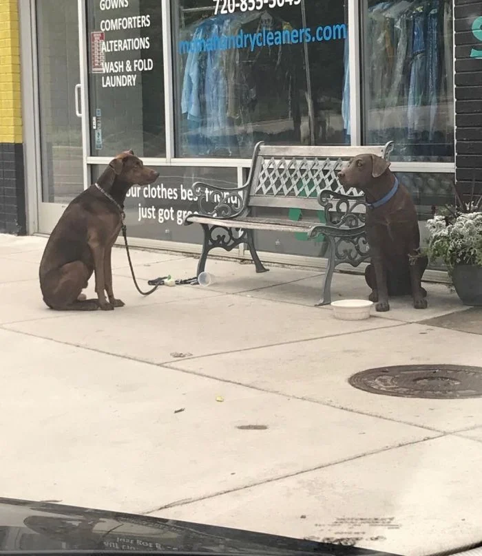 20 запутанных изображений, которые вас озадачат