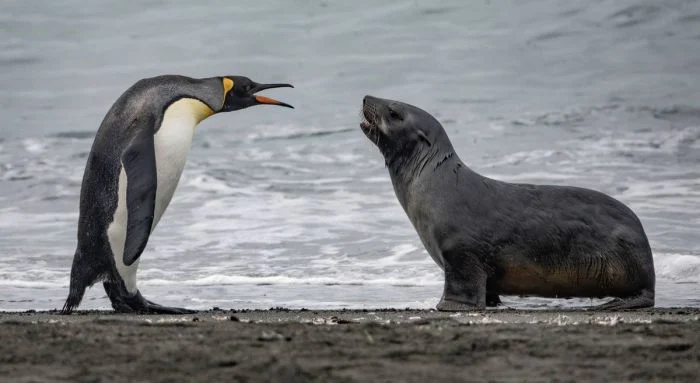 Подборка картинок на общую тему