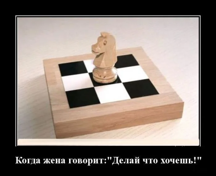 Подборка демотиваторов для тех, кто любит посмеяться