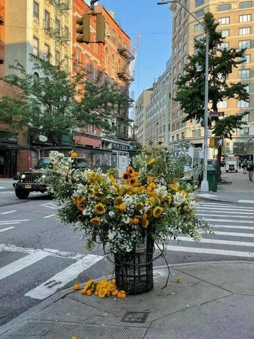 Намешалось