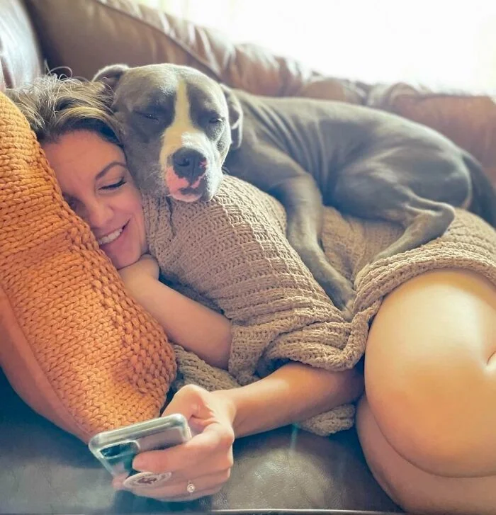 30 питомцев, полностью игнорирующих ваше личное пространство