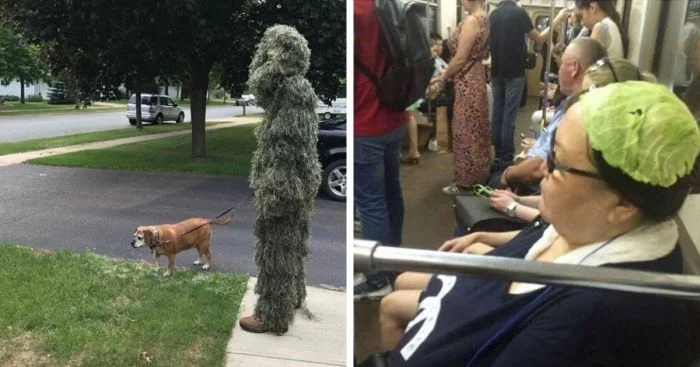 15 фотографий, показывающих, что абсурд поджидает нас на каждом углу