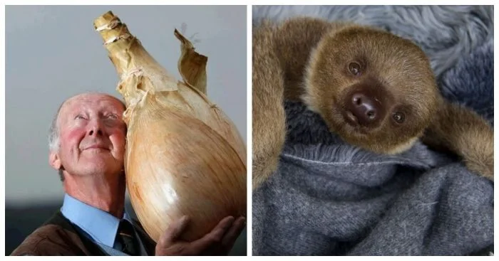 20 ярких примеров истинного и безоговорочного счастья