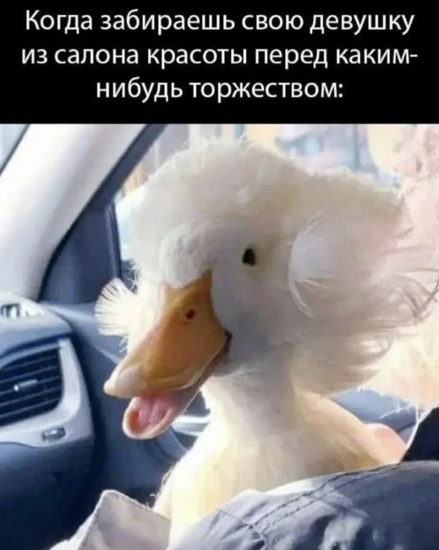 Свежие скрины из соцсетей