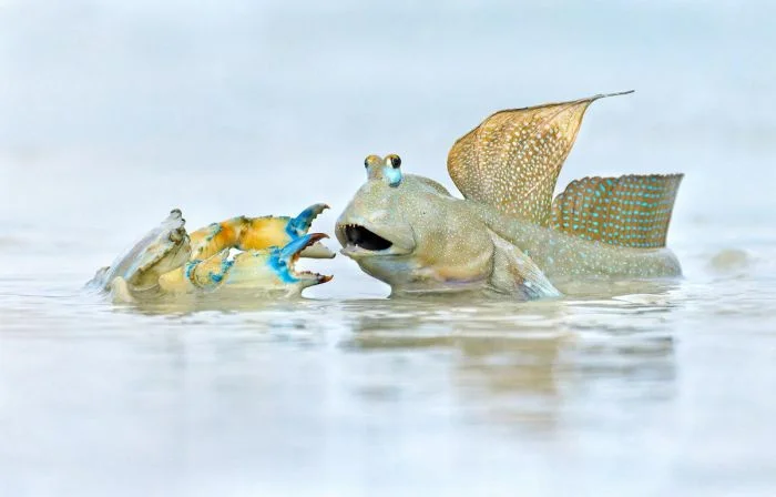 Намешалось ещё немного