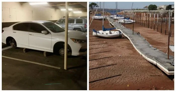 13 возмутительных инцидентов, способных вывести из себя кого угодно