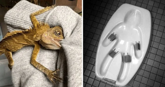 14 снимков, вызывающих беспокойство