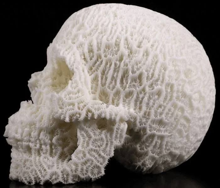 14 снимков, вызывающих беспокойство