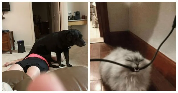 17 владельцев, которые и не подозревали, что их покупка обернётся проблемами