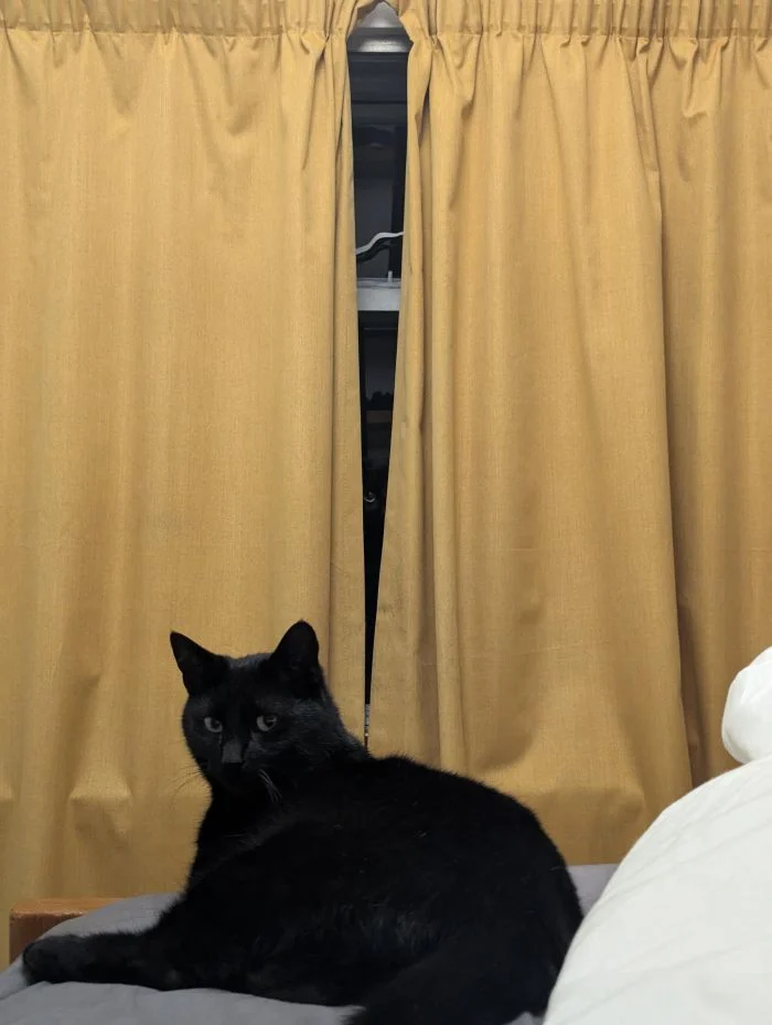 25 отличных идей, которые создают уют в вашем доме