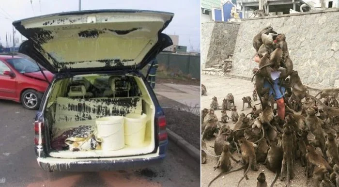 12 случаев, когда у людей выдался совсем неудачный день