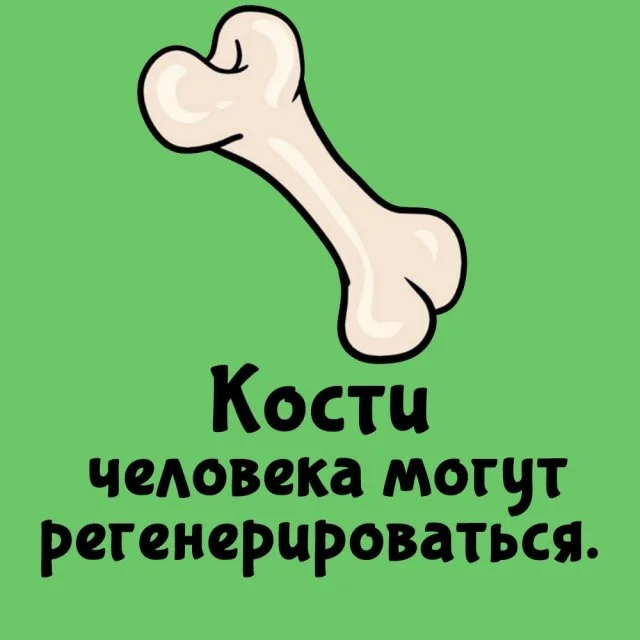 Любопытные факты, которые пригодятся в любой ситуации