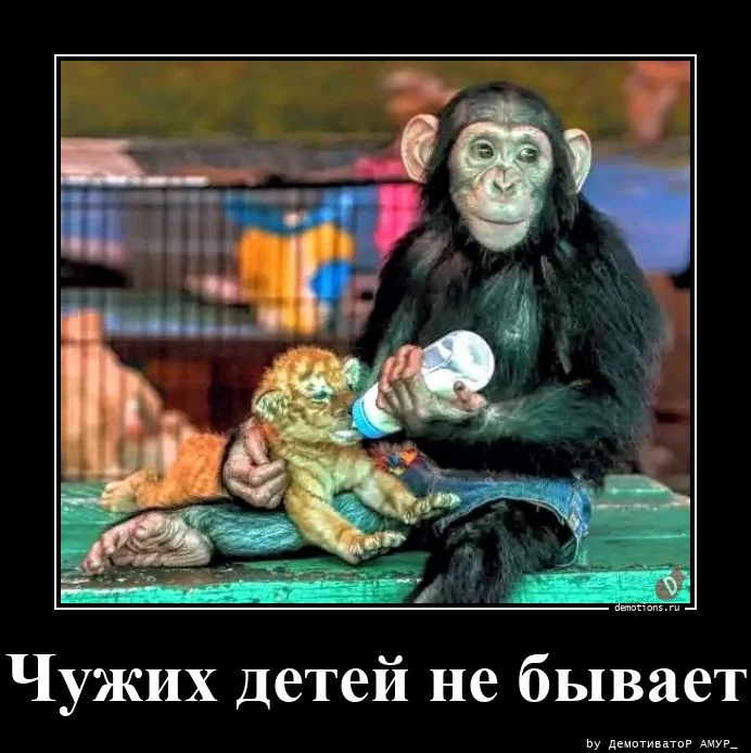 Демотиваторы для всех