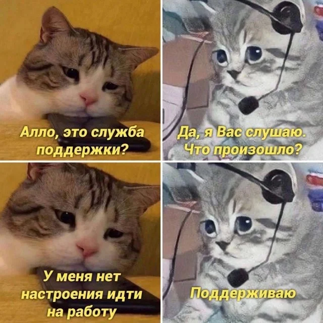 Новые скрины из соцсетей