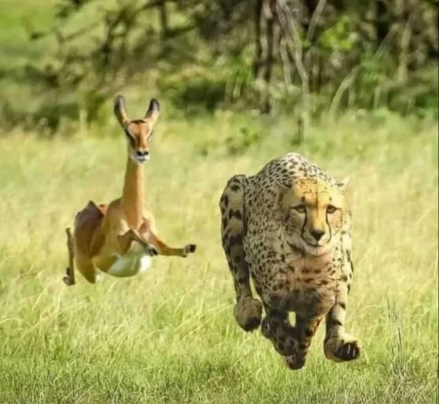 Снова намешалось