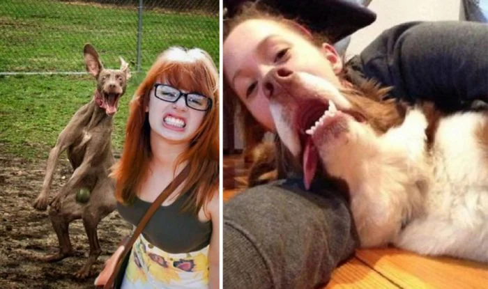 Наглость уровня пёс: 12 четвероногих, которым плевать на камеру