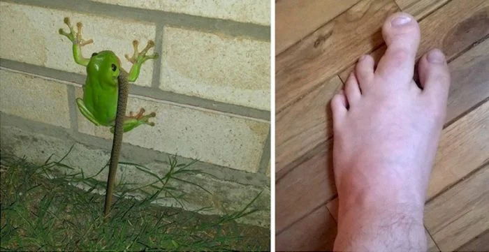 Фотографии, от которых вы потеряете дар речи