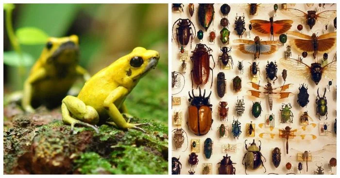 Природа в своей беспощадности: 10 ярких примеров