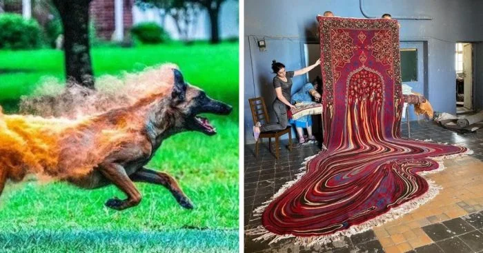 Вещи, которые вас удивят