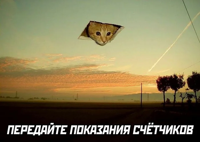 Вот такие скрины из соцсетей