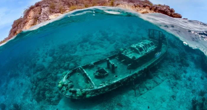 Природа во всей красе: 16 уникальных фотографий