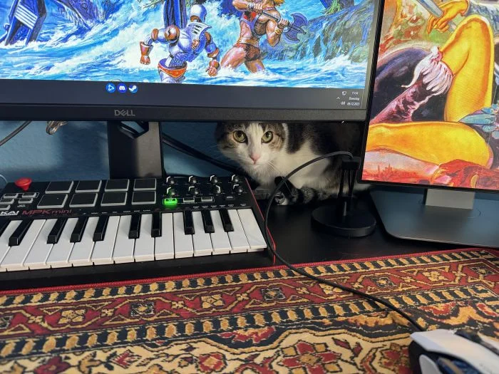 Загадочные существа дома: 25 обитателей, придающих уют