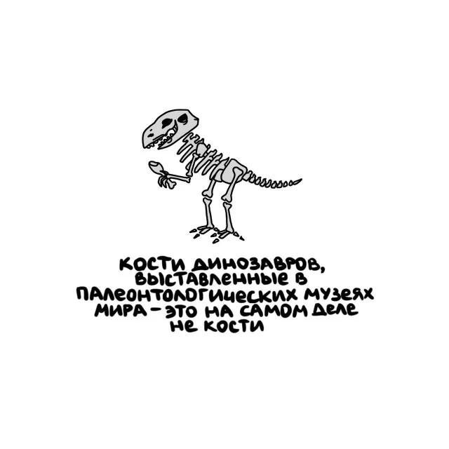 Удивительные факты для любого случая