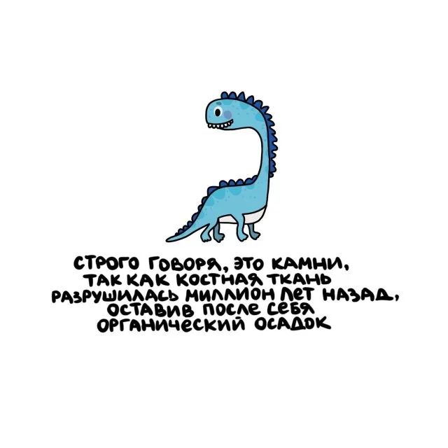 Удивительные факты для любого случая