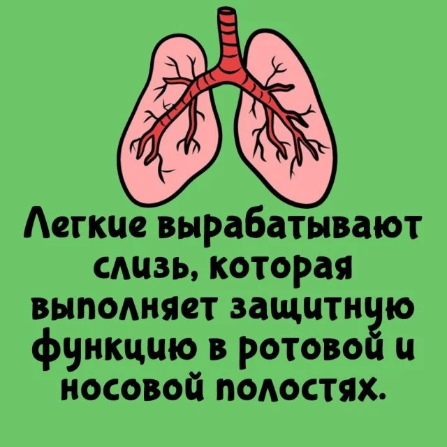 Любопытные факты, которые пригодятся каждому