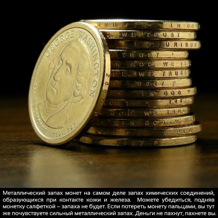 Удивительные факты: 21 способ посмотреть на мир иначе