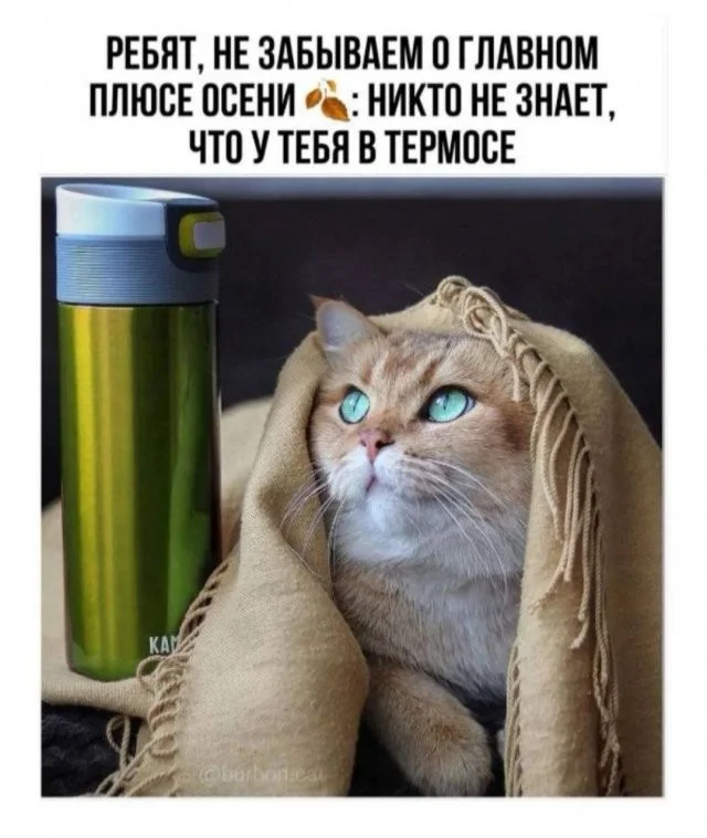 Вот такие скрины из соцсетей